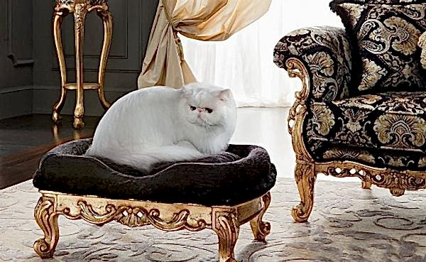 Turkey Classic Furniture - Luxury Furniture ModelsComfort Cat & Dog Pouf