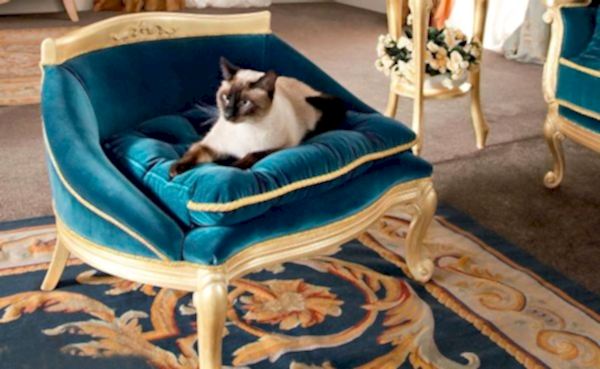 Turkey Classic Furniture - Luxury Furniture ModelsSweet Cat & Dog Pouf